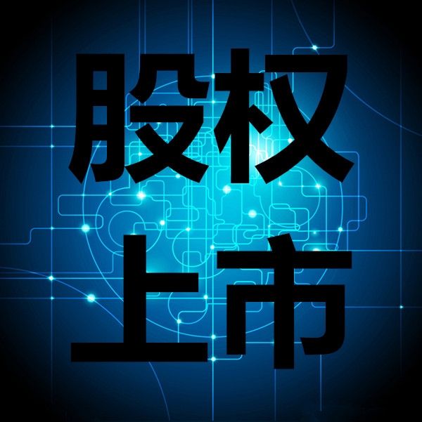 股權(quán)上市咨詢